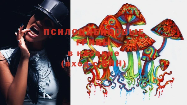 прущие крисы Алзамай