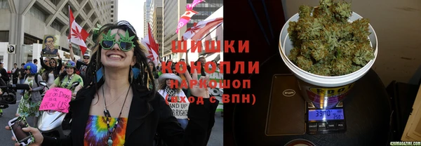 прущие крисы Алзамай